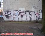 SPION