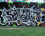 SPiRiD