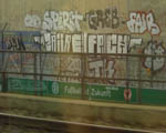 SPiRiD