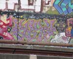 SRiZ