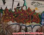 STER