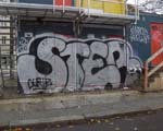 STER