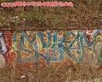 STER