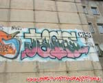 TAGS
