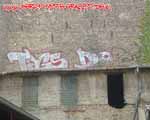 TAGS