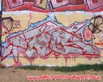 TAGS