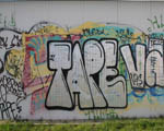 Tape
