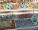 TAPS