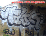 TDOK