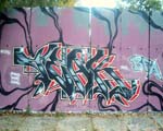 TEAK