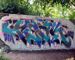 TEAK