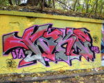 TEAK