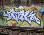 TEAK