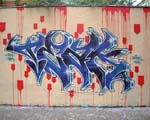 TEAK