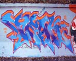 TEAK