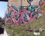 TEIN