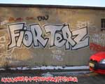 TERZ
