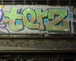 TERZ