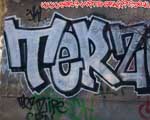 TERZ