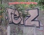 TERZ
