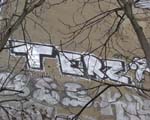 TERZ
