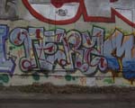 TERZ