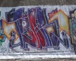 TSAR