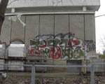 TSAR
