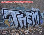 TREM