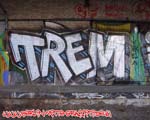 TREM