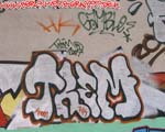 TREM