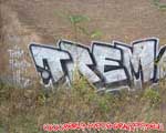 TREM