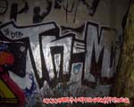 TREM