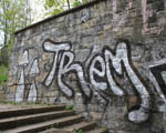 TREM