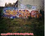 TRIPA