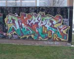 TRIPER