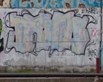 TRIPER