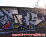 TRUS