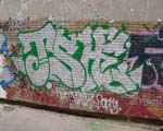 TSHE