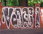 VAZZ