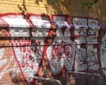 VAZZ