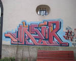 ViSiR