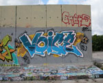 VoicE