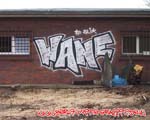 WAIN