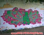 WES