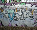 WOLKE