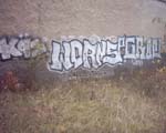 WORNS