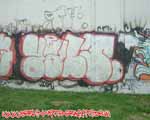 YALT