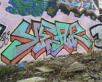 YEAR