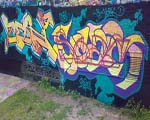 ZEB7 / SCAM